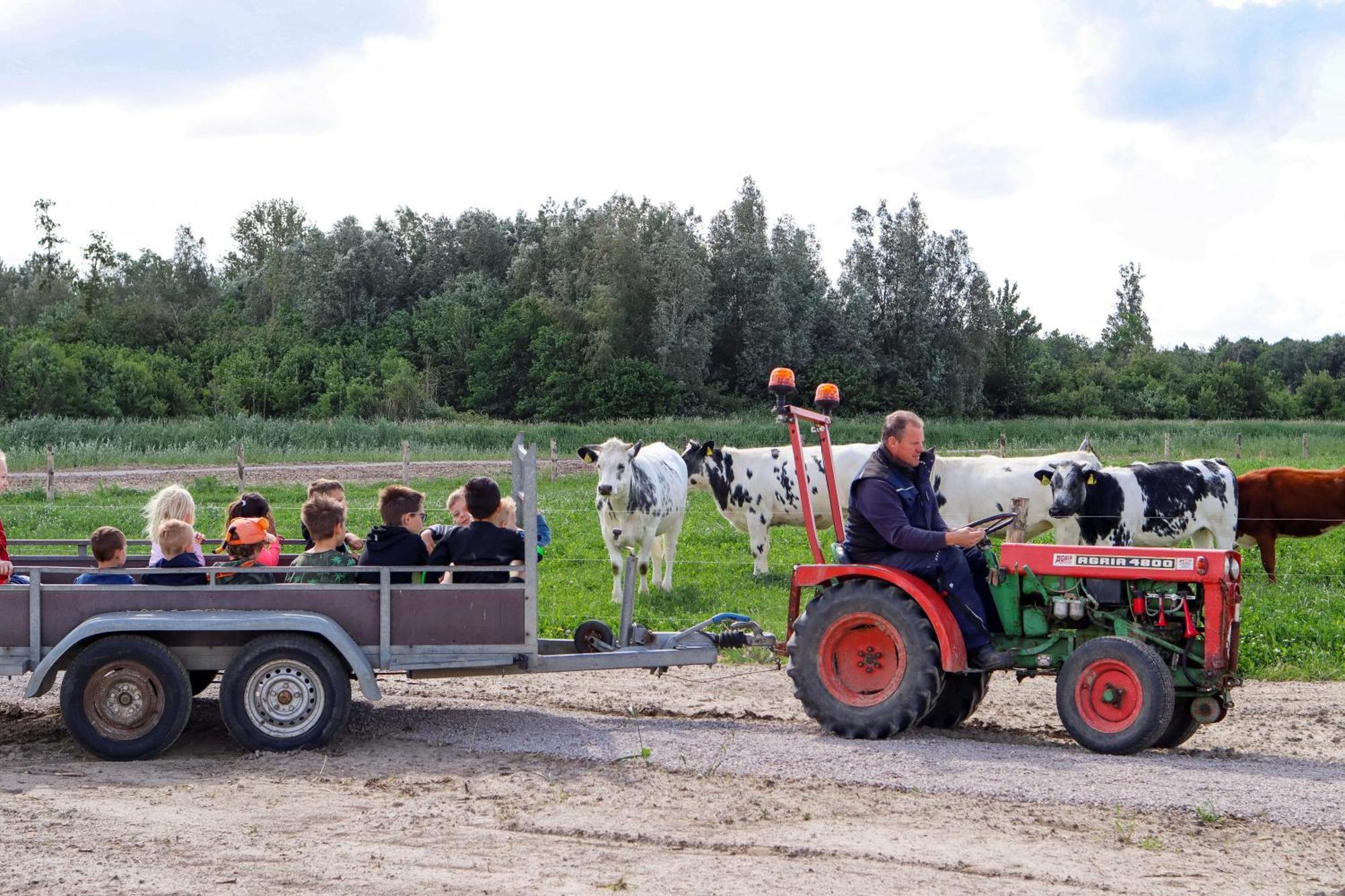 Boerderijcamping De Hinde Dronten Extérieur photo